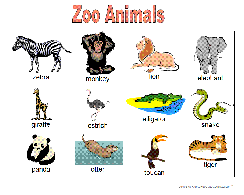 Zoo Animal Games, Books, Word Cards, and Learning Videos